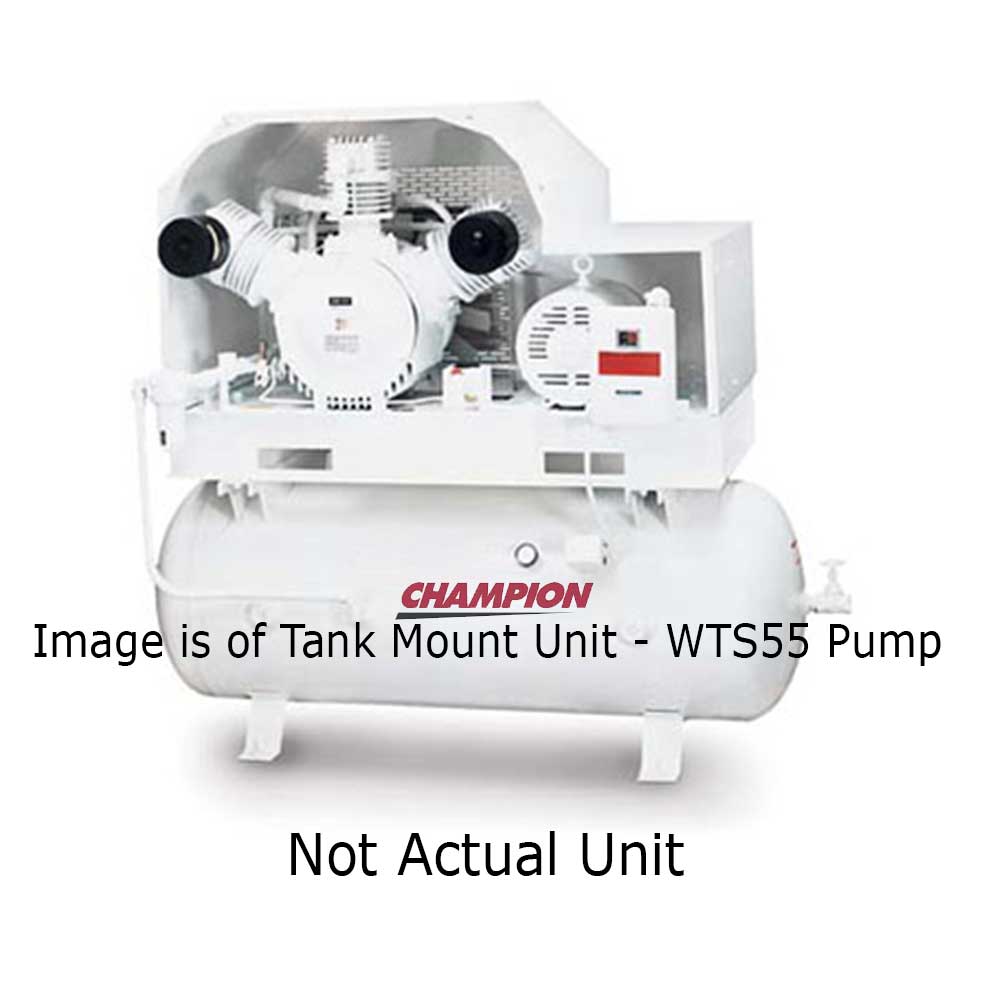 Experience the Freedom with V & W Series Oil-Less Air Compressors